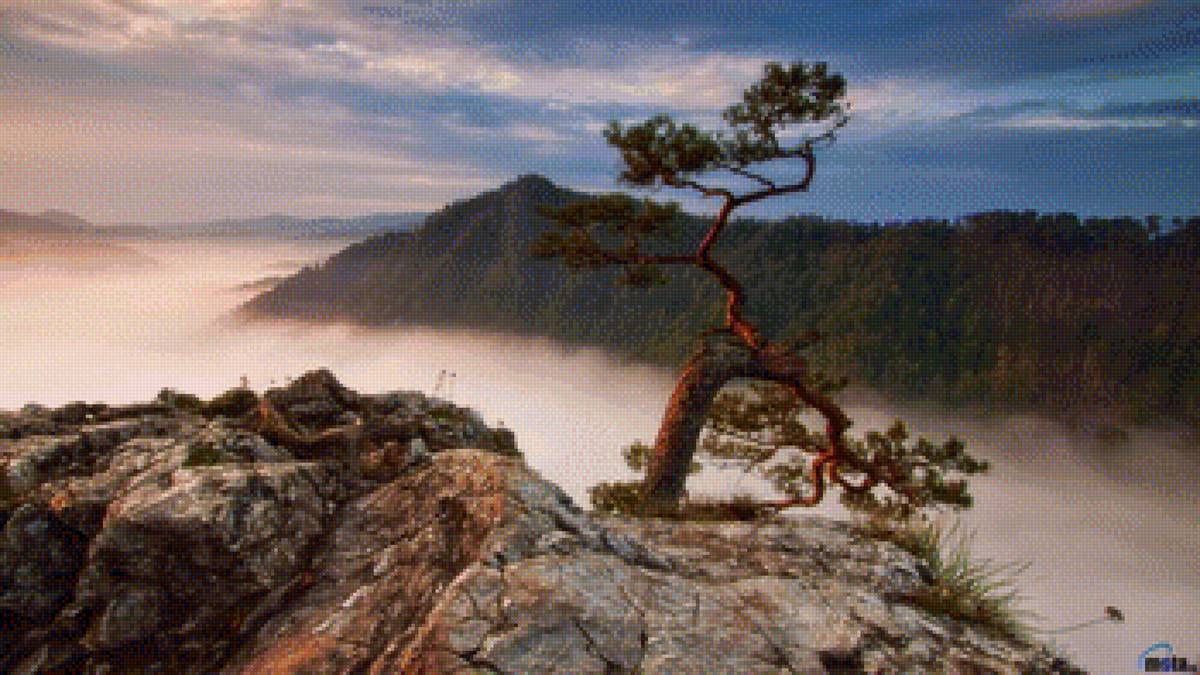 Пейзаж - река, лес, закат - предпросмотр