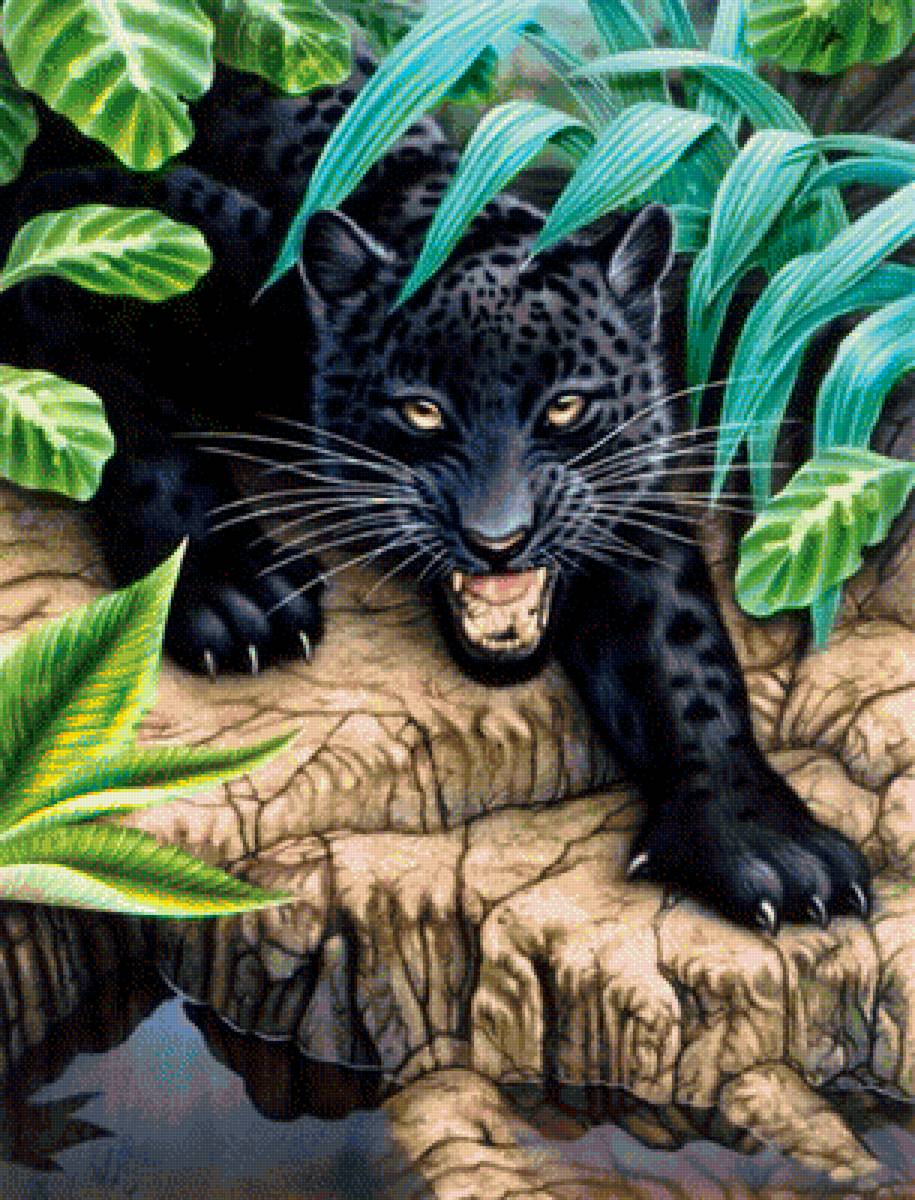 мир животных - предпросмотр