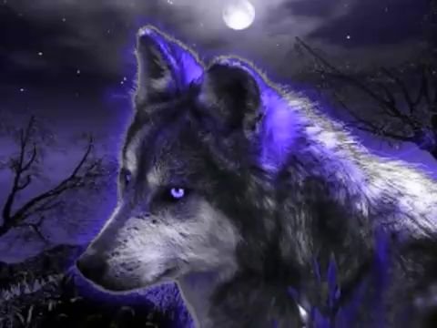 Ночной стражник - животные, волки - оригинал