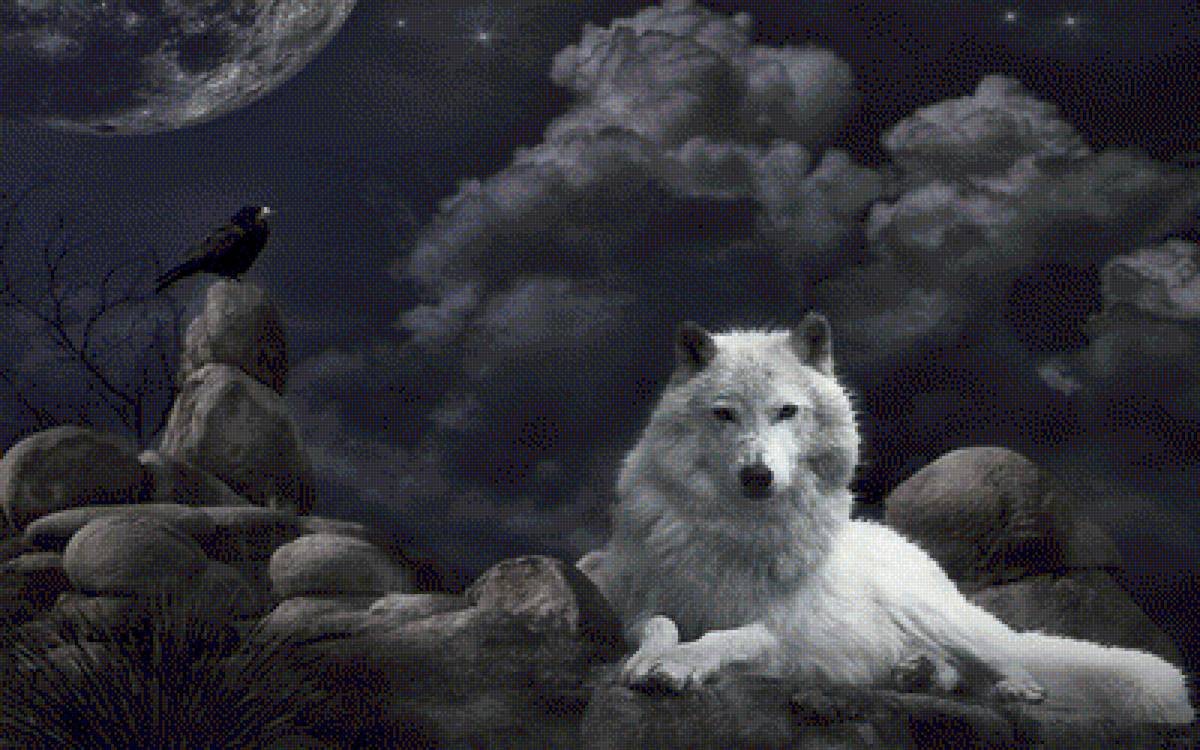 Ворон и волчица - волки, животные - предпросмотр