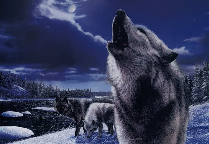 Ночь - животные, волки - оригинал