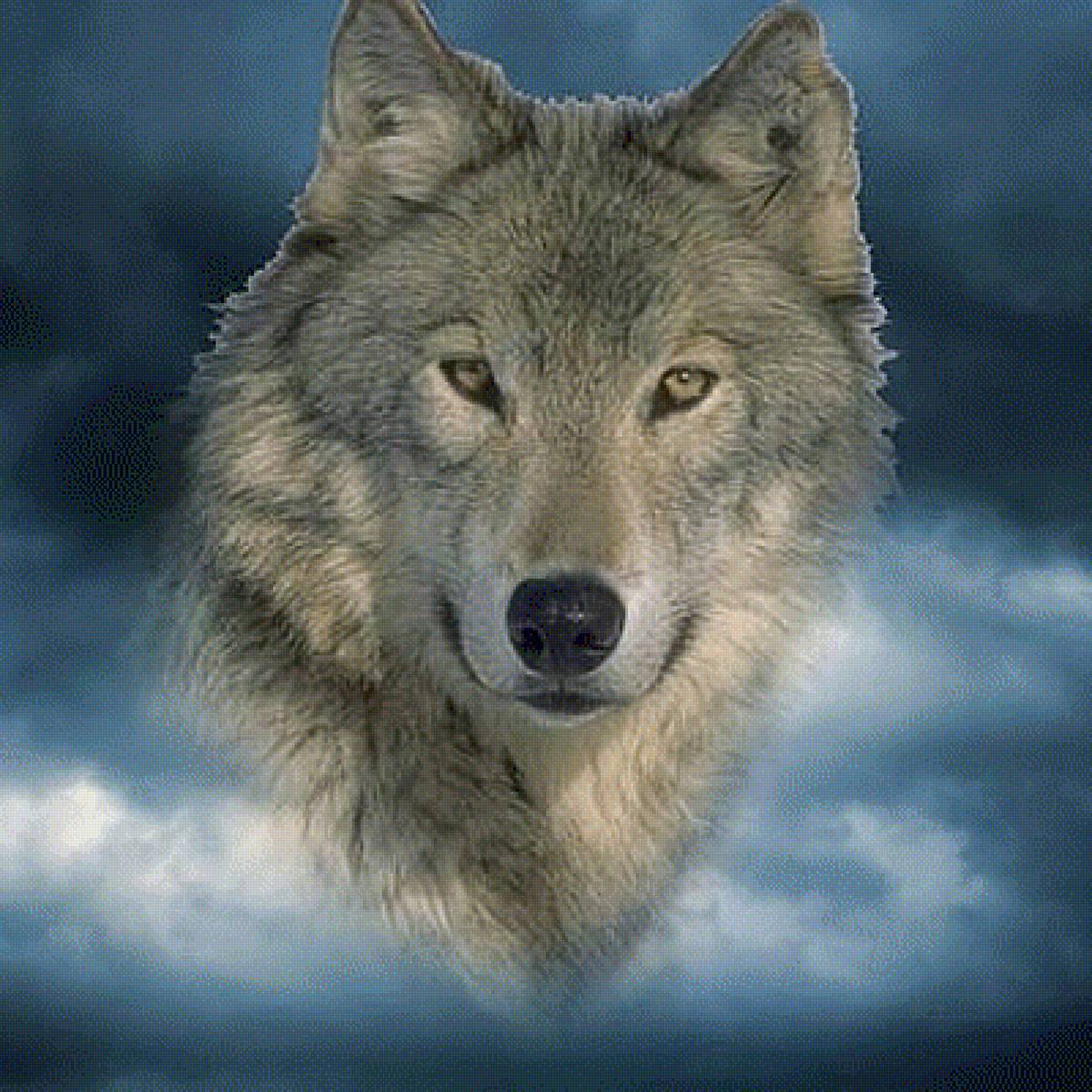 Волчий дух - животные, волки - предпросмотр