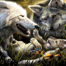 Схема вышивки «seimynele»