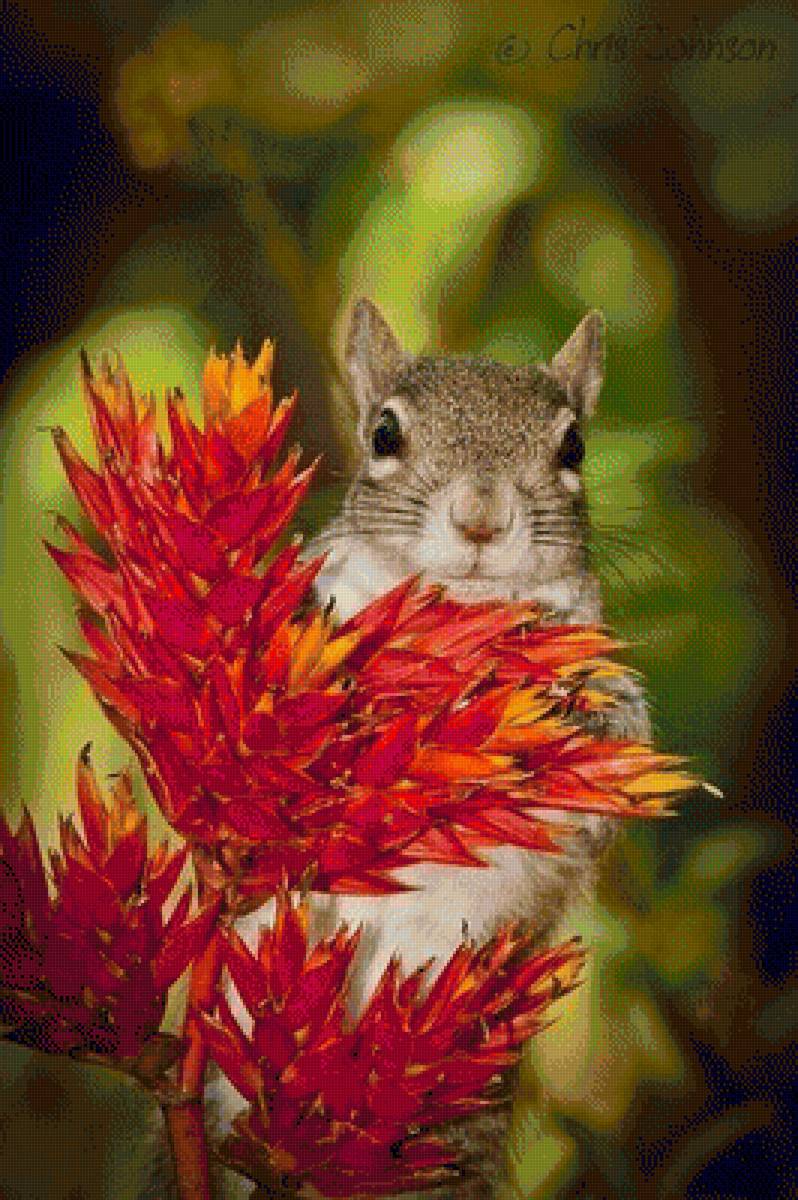 №1373551 - предпросмотр