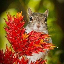 Схема вышивки «№1373551»