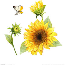 Оригинал схемы вышивки «№1373914»