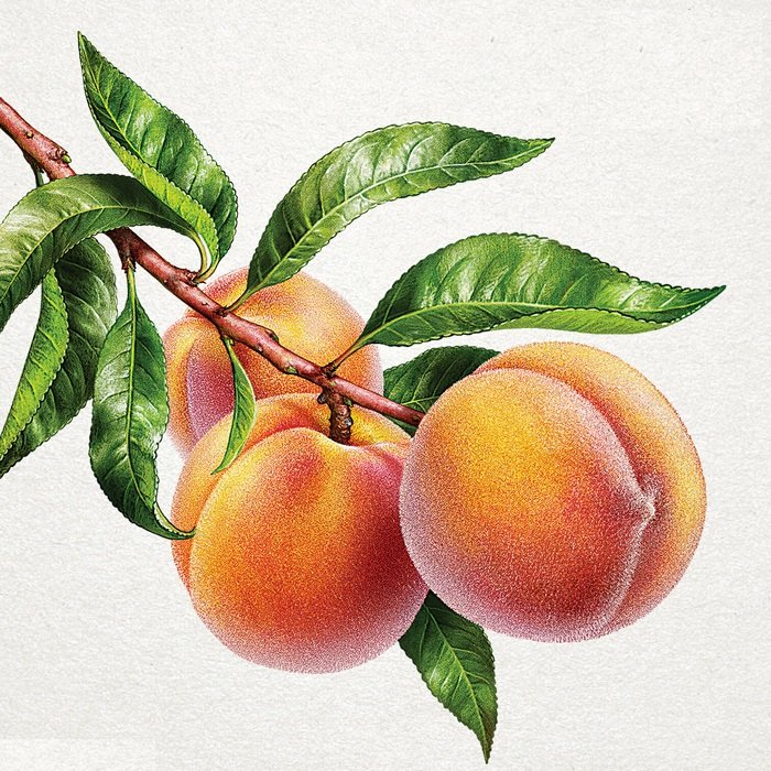 персики - оригинал