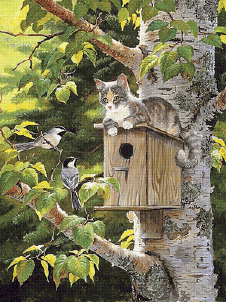 221 - предпросмотр