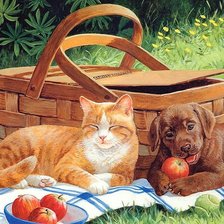 Схема вышивки «310»