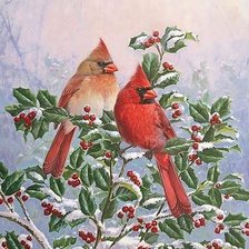 Схема вышивки «птички»