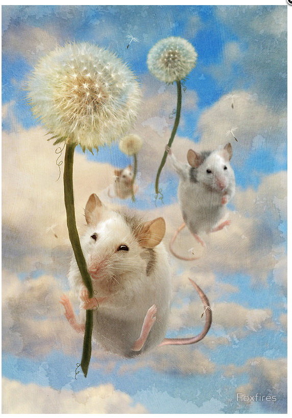 айме стюарт - оригинал