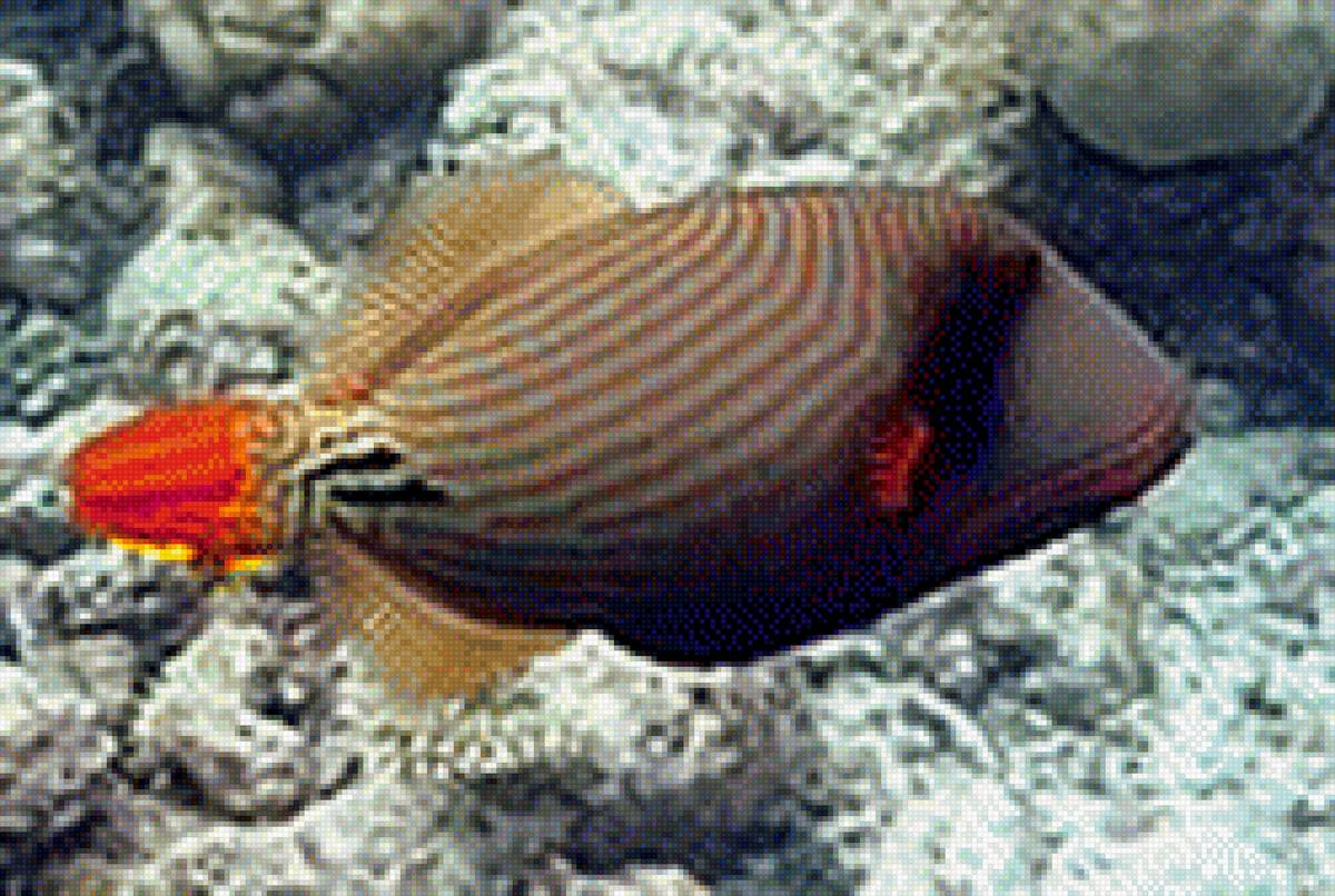 Подводный мир - рыбка, подводный мир - предпросмотр