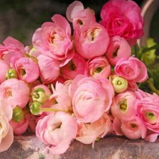 Схема вышивки «№1374687»