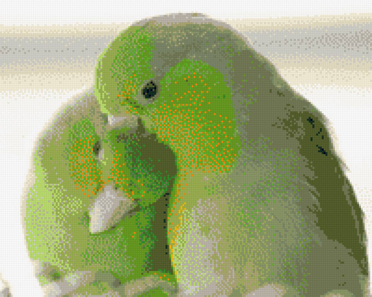 Les inséparables - animaux - предпросмотр