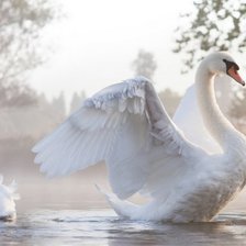 Схема вышивки «№1374903»