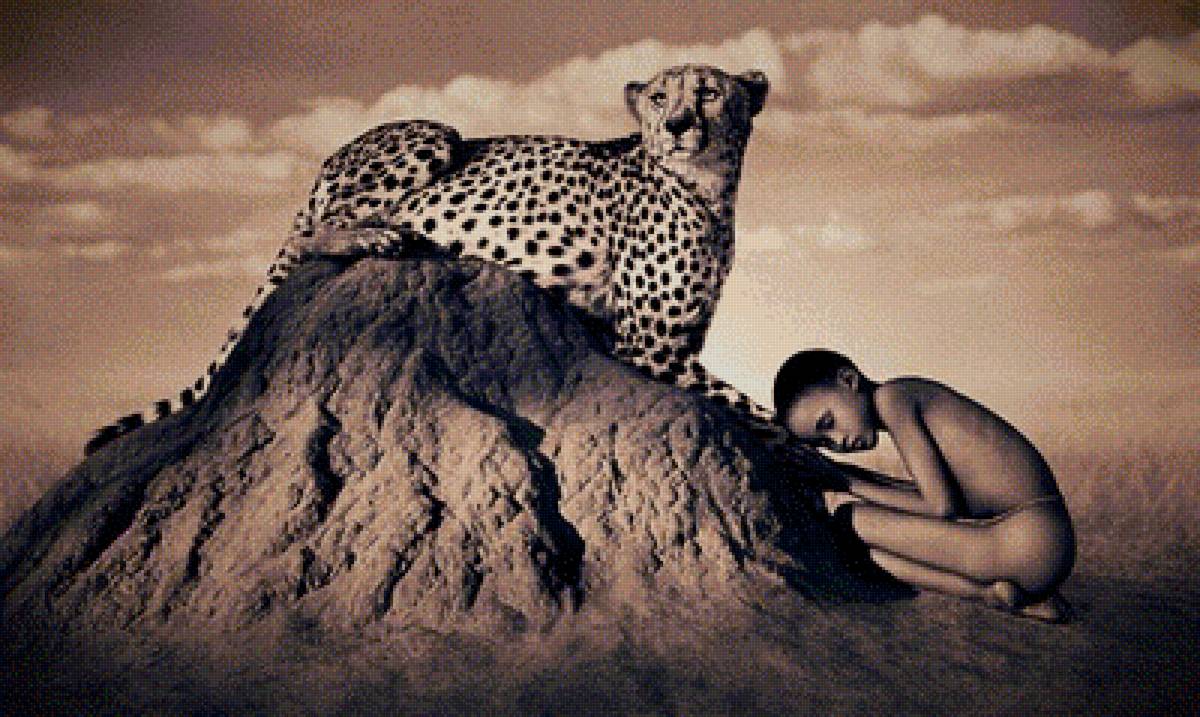 №1374916 - предпросмотр