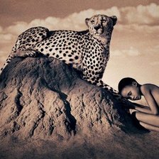 Схема вышивки «№1374916»