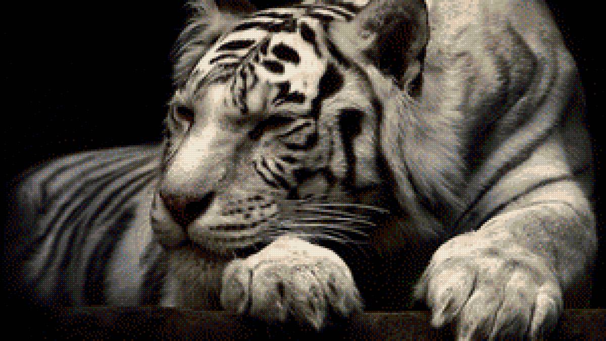 №1374922 - предпросмотр