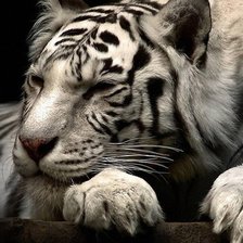 Схема вышивки «№1374922»