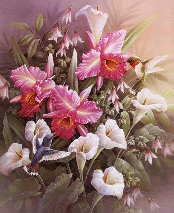 Калибри - оригинал