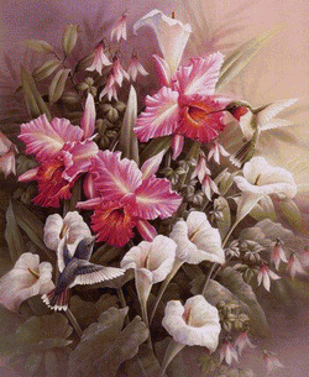 Калибри - предпросмотр