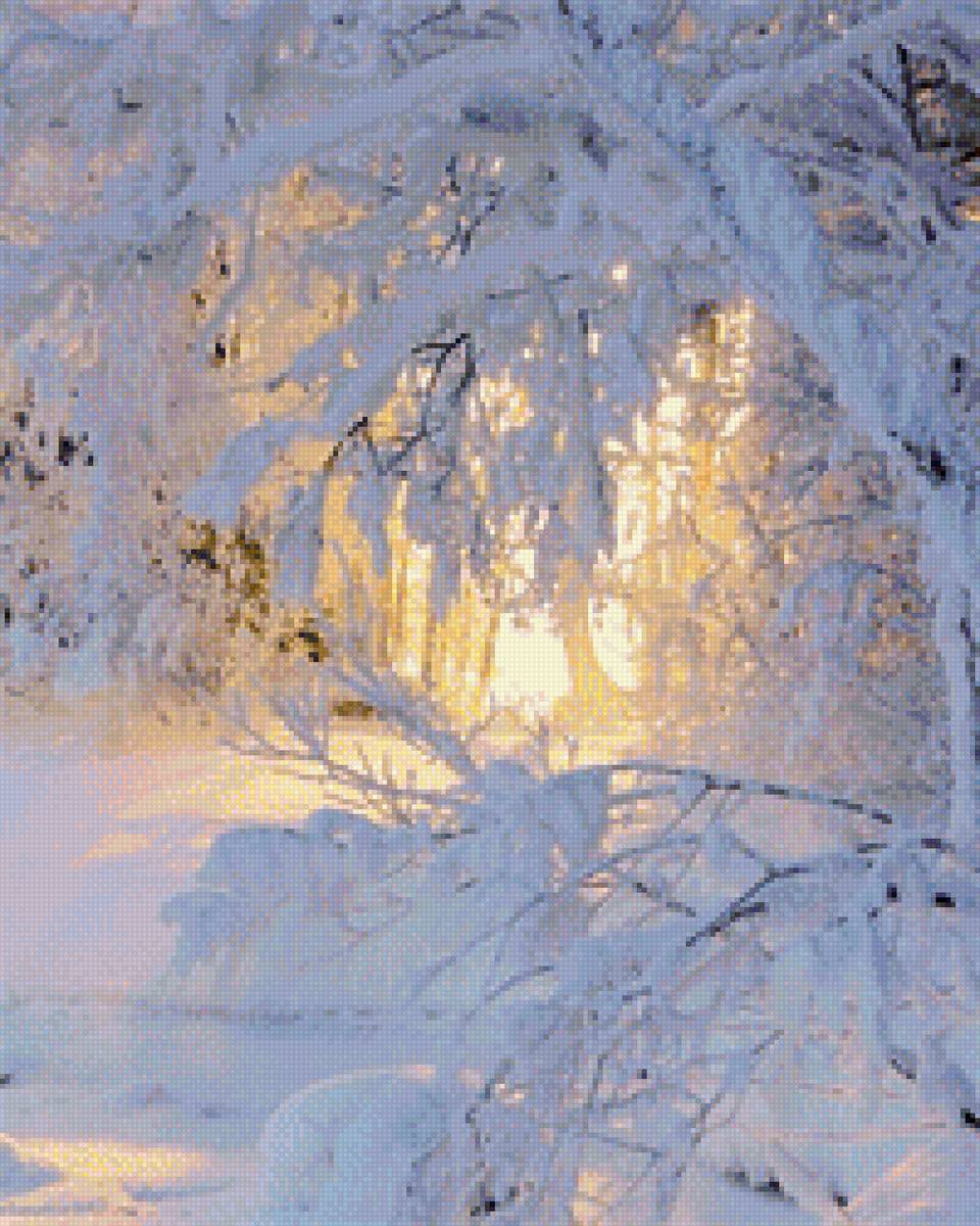 Иней - иней, лес, зима, зимний лес - предпросмотр