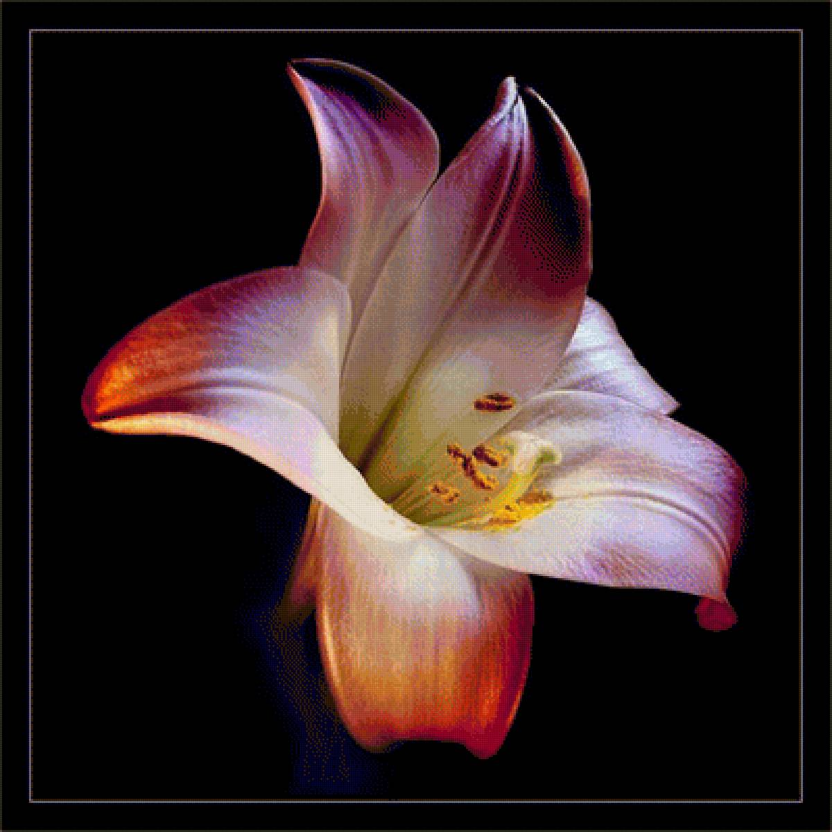 №1376038 - предпросмотр