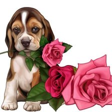 цветы для тебя