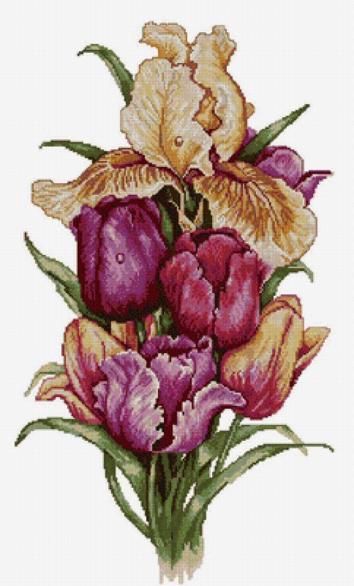 Тюльпаны - цветы, тюльпаны - предпросмотр