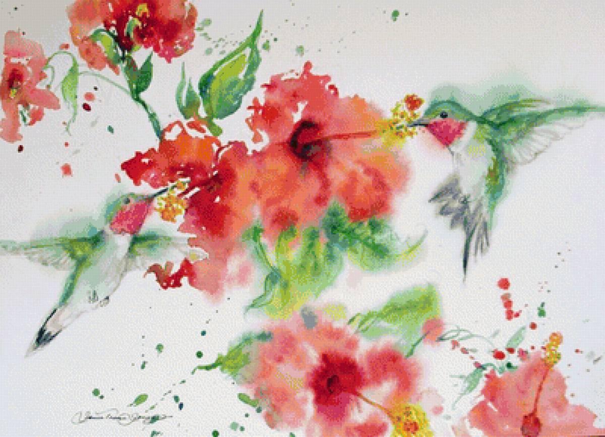 Колибри - колибри, цветы - предпросмотр