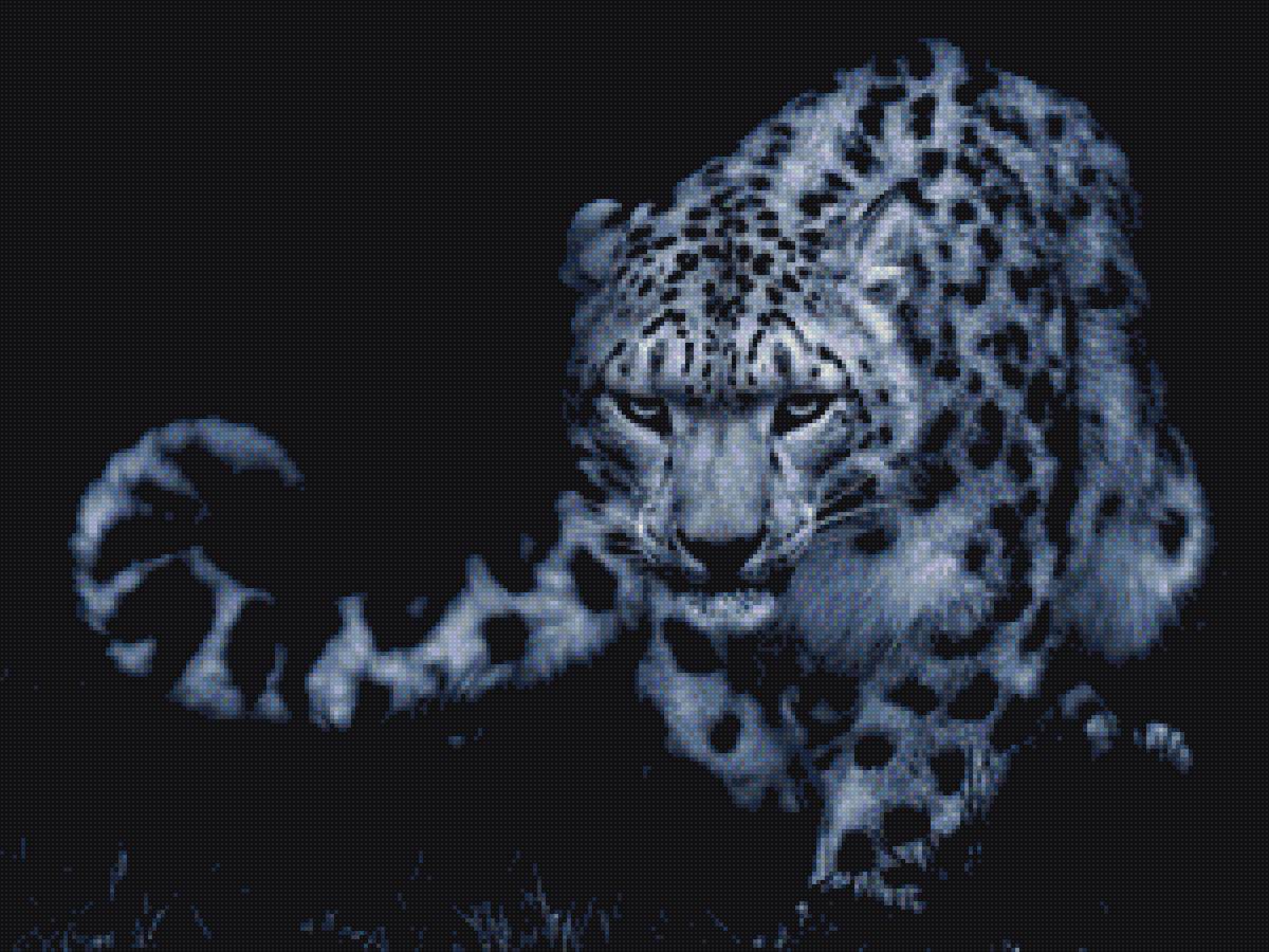 барс - ночь, охотник. - предпросмотр