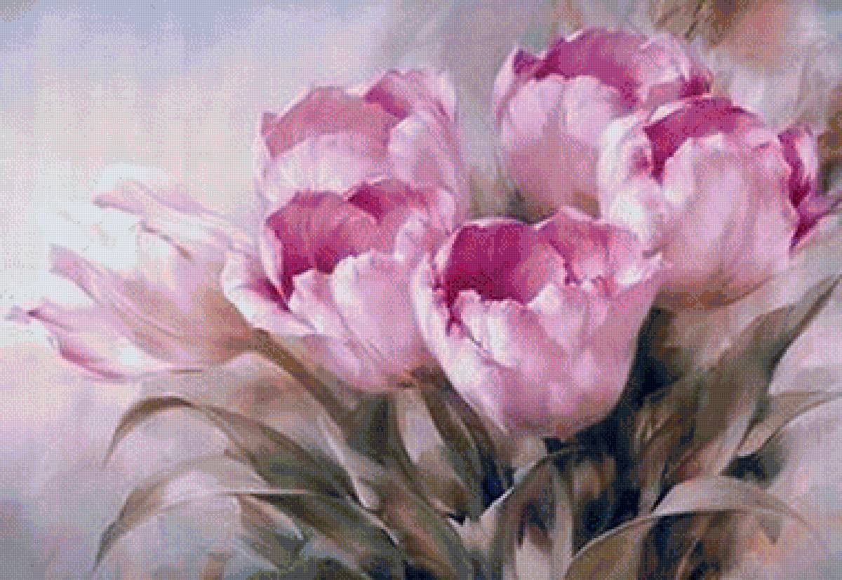 Тюльпаны - тюльпаны, цветы - предпросмотр