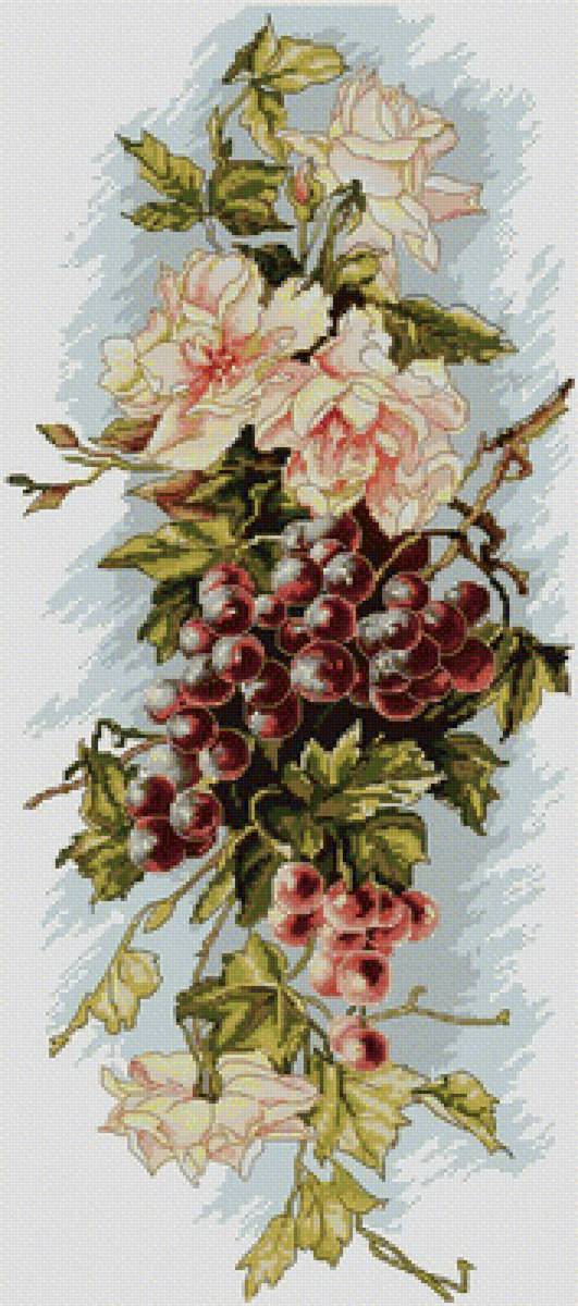 Виноград - фрукты, виноград - предпросмотр