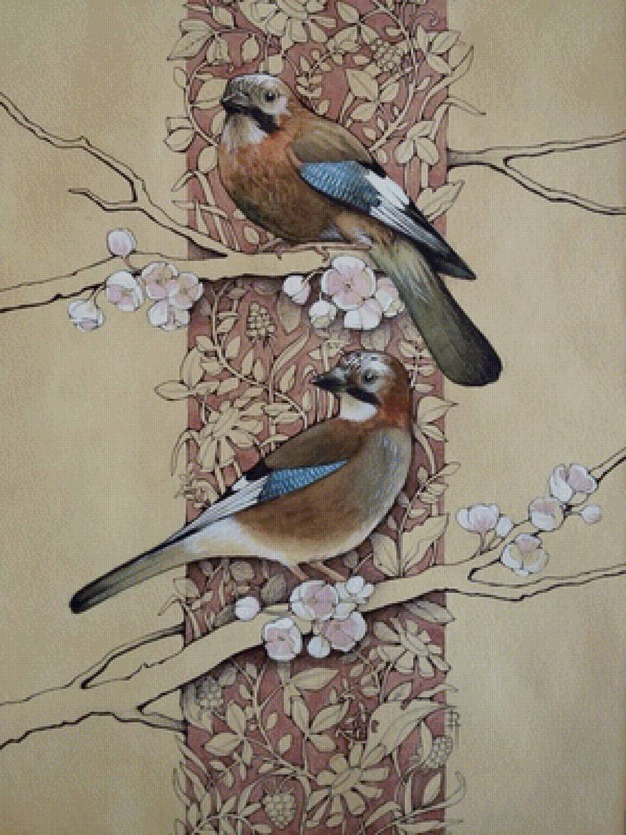 Сойки - птицы - предпросмотр