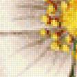 Предпросмотр схемы вышивки «цветы» (№1378344)