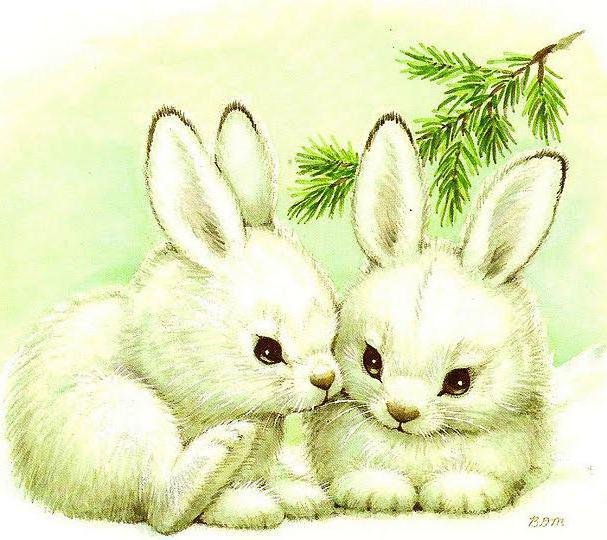 Зайчики - пара, любовь, зайчики, двое - оригинал