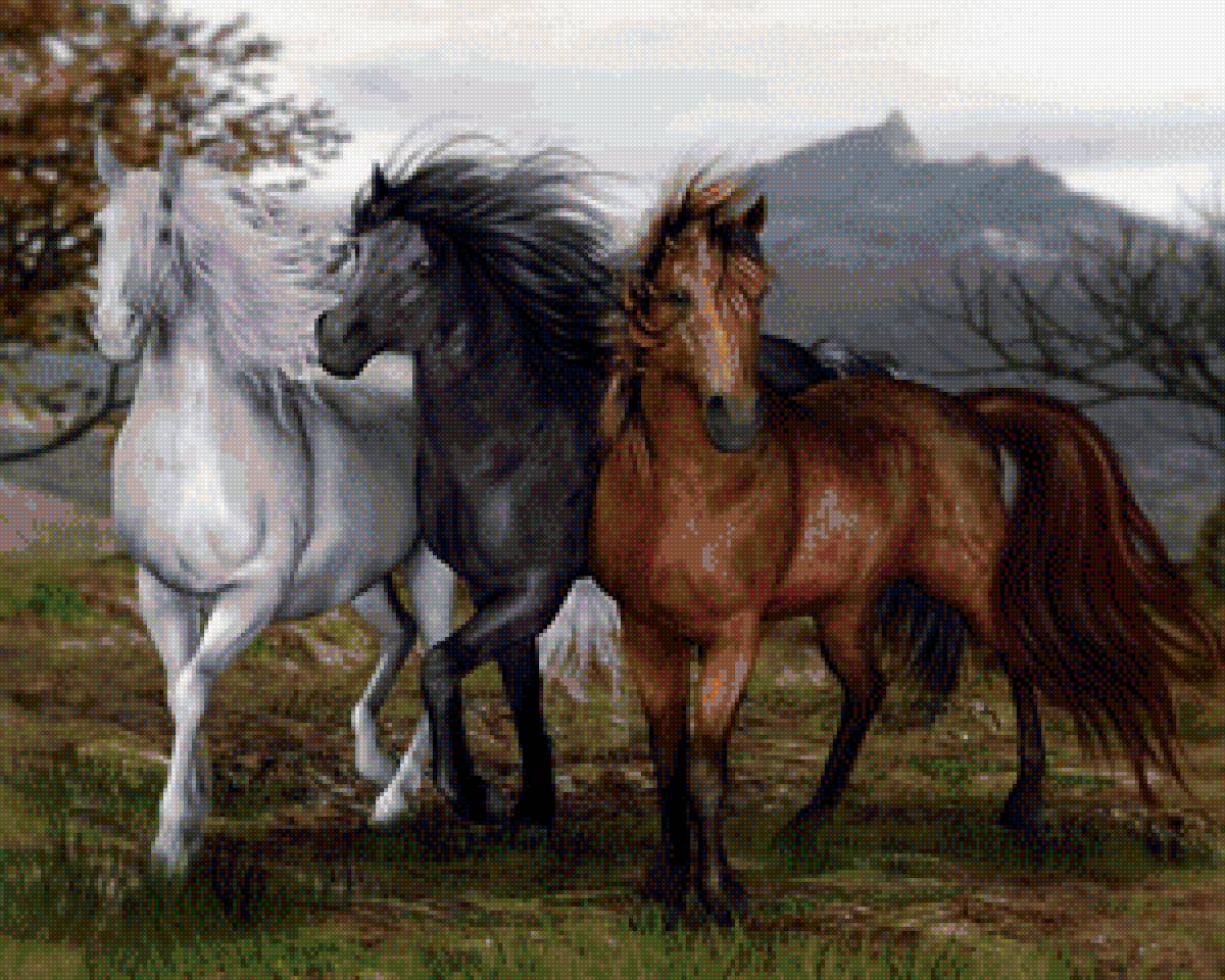 Три лошадки. Бонни Маррис лошади. Красивые лошади. Картинки лошадей красивые. Картины с лошадьми на природе.