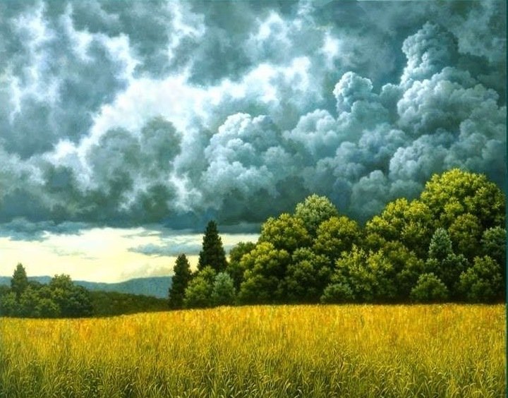 перед грозой - природа, пейзаж, поле, деревья, облака - оригинал