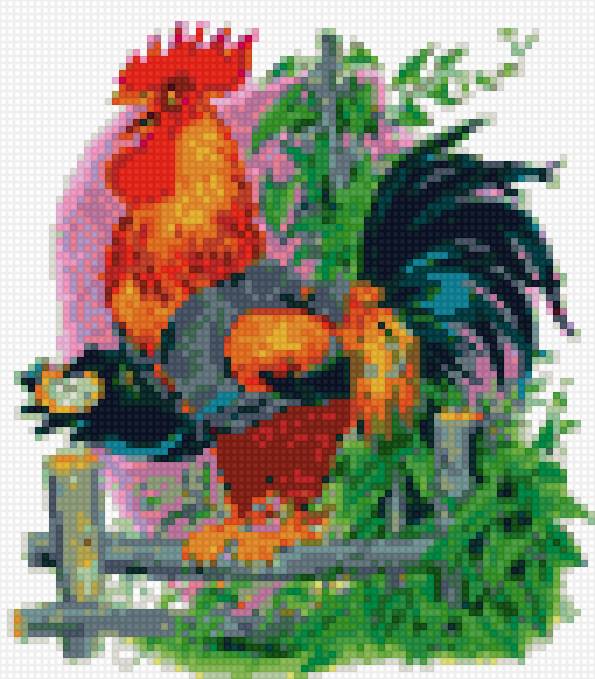 Петух - петух, птица, деревня - предпросмотр