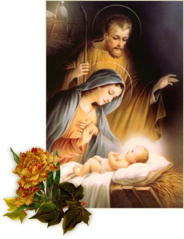 Quynh - giáng sinh - оригинал