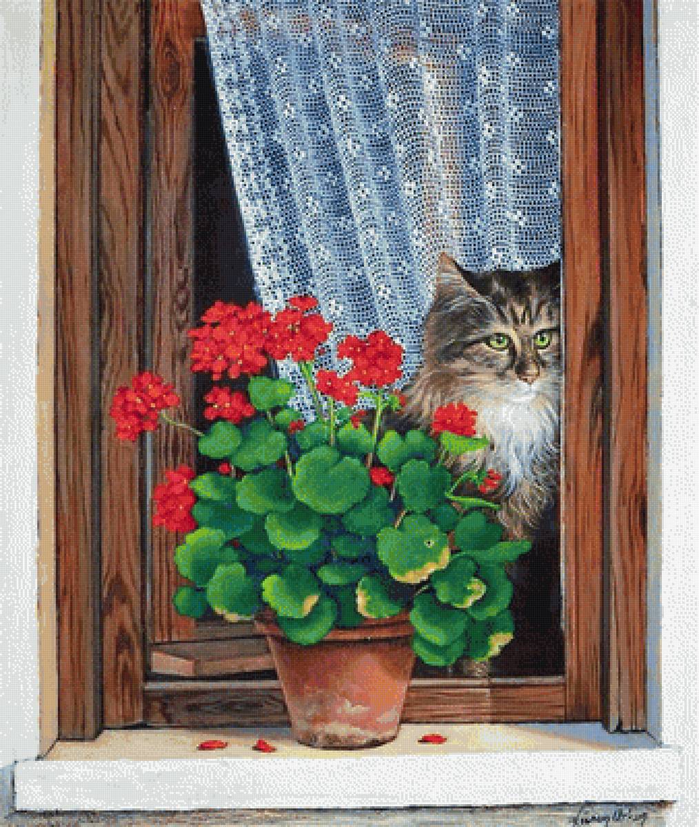 okno,muškát,mačka - предпросмотр