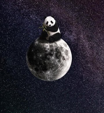 Панда в космосе 2 - животные, панда - оригинал