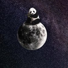 Схема вышивки «Панда в космосе 2»