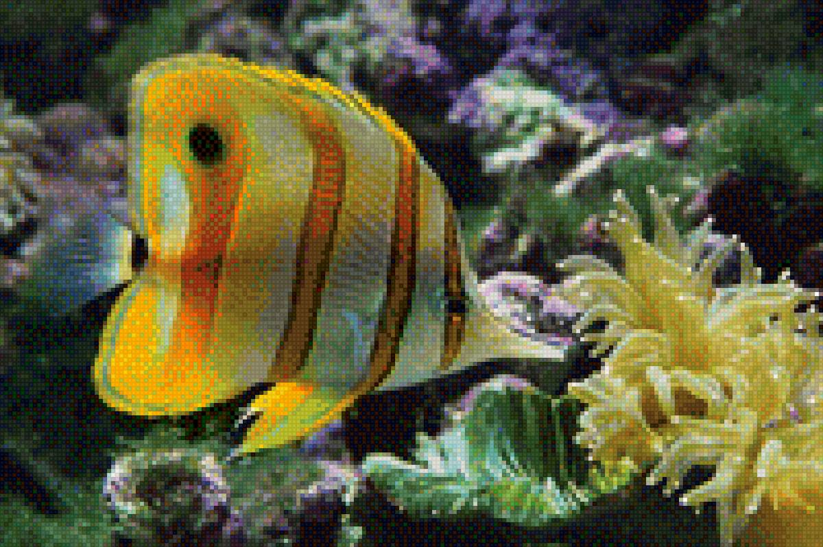 Желтая рыбка - рыбка, подводный мир - предпросмотр