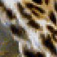 Предпросмотр схемы вышивки «Ягуар» (№1380379)