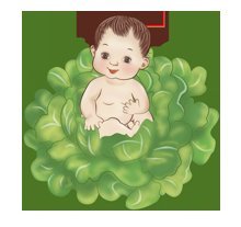 мальчик в капусте