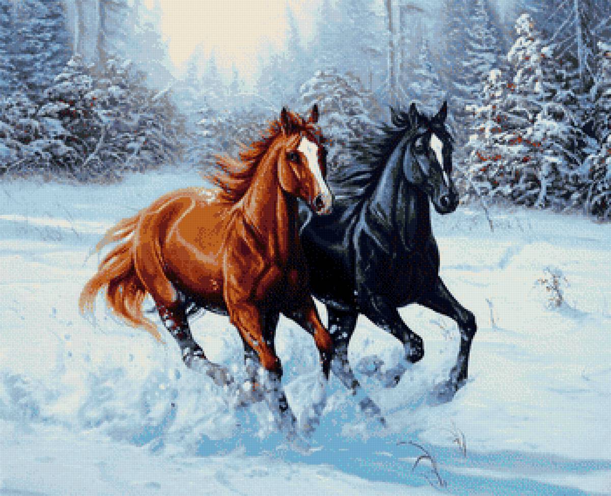 Зимняя прогулка - лошади, природа, животные, зима - предпросмотр