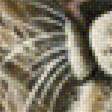 Предпросмотр схемы вышивки «мир животных» (№1381553)