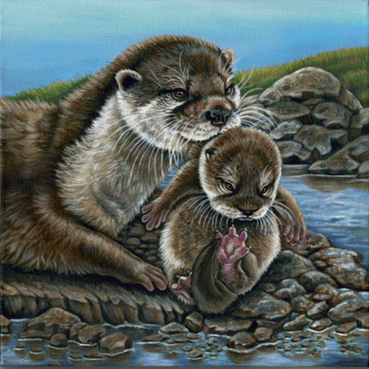 мир животных - предпросмотр