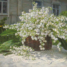 Худ. Калиновская Е.